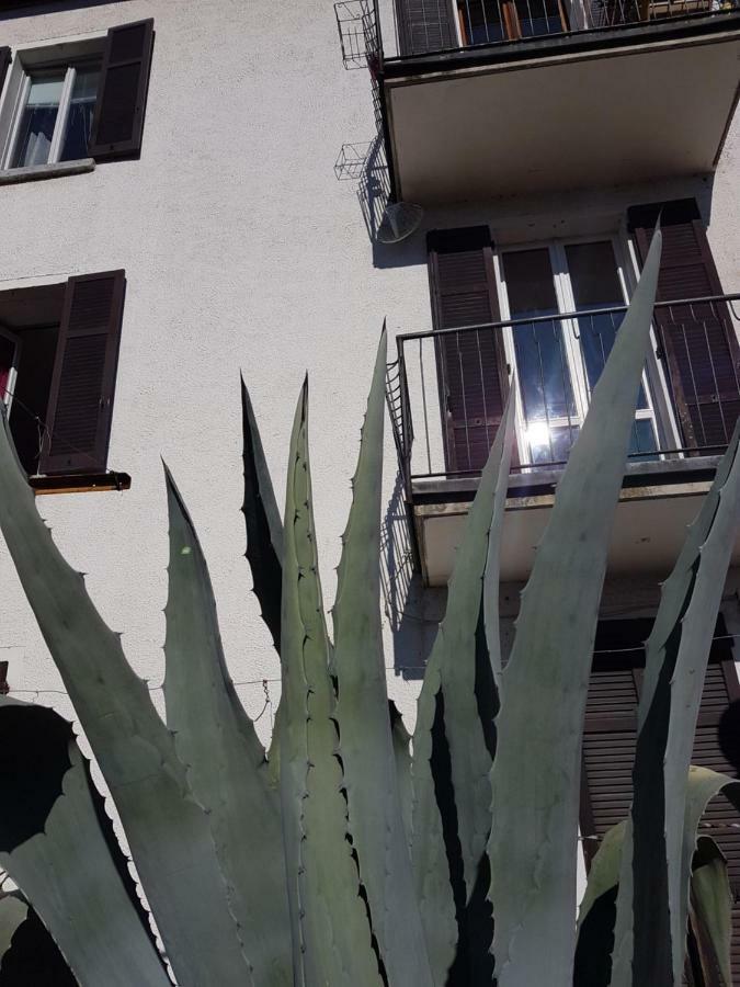 Flora Apartment Moltrasio Exterior photo